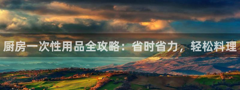 鸿运国际网址多少|厨房一次性用品全攻略：省时省力，轻松料理